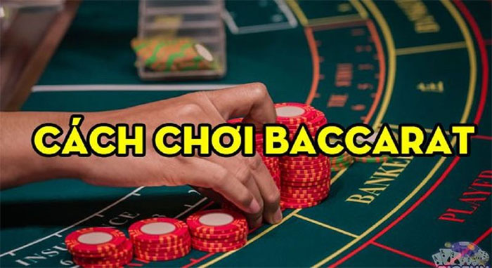 Cách chơi baccarat