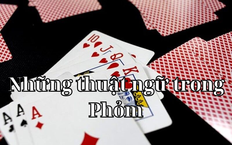 Những thuật ngữ thông dụng trong phỏm